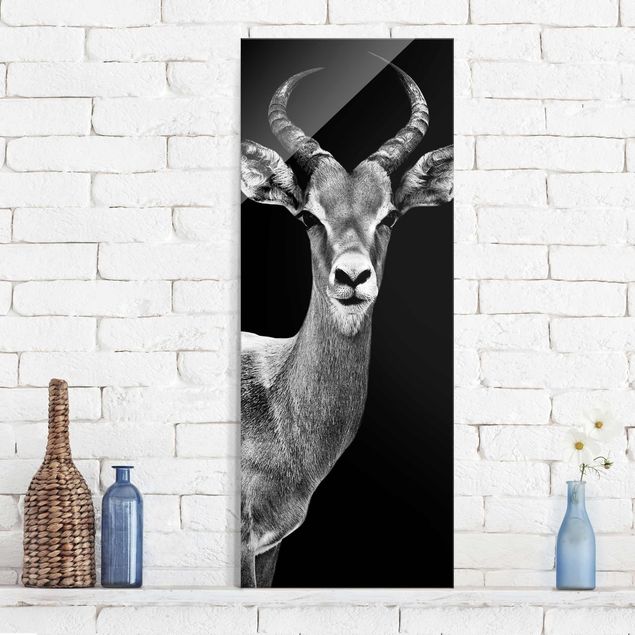 køkken dekorationer Impala antelope black & white