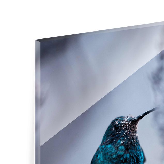 Glas magnettavla Hummingbird In Winter