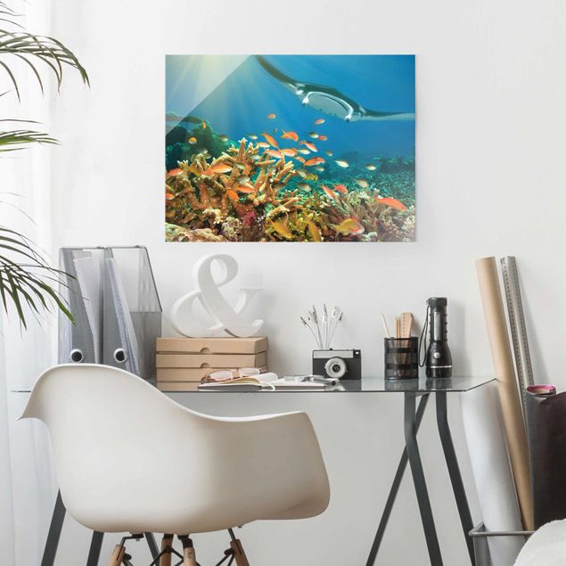 Billeder moderne Coral reef