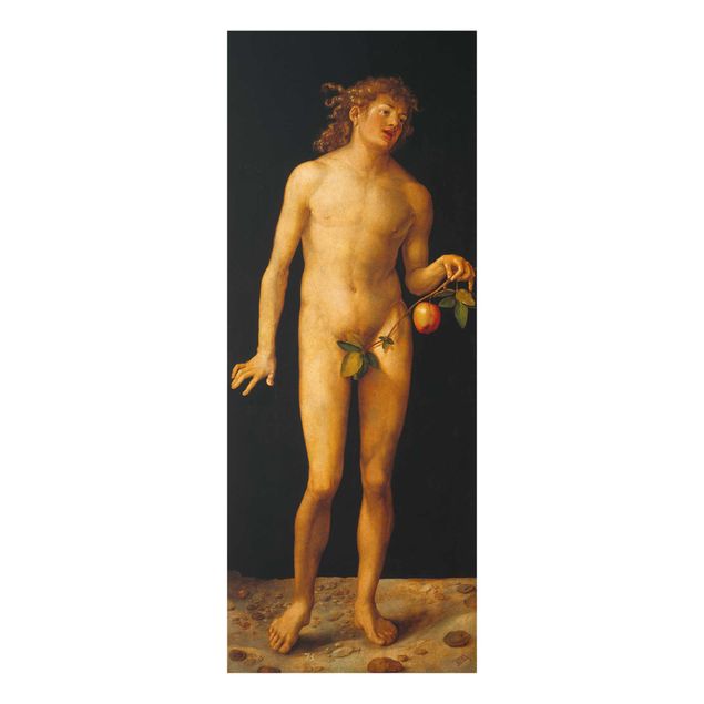 Billeder moderne Albrecht Dürer - Adam