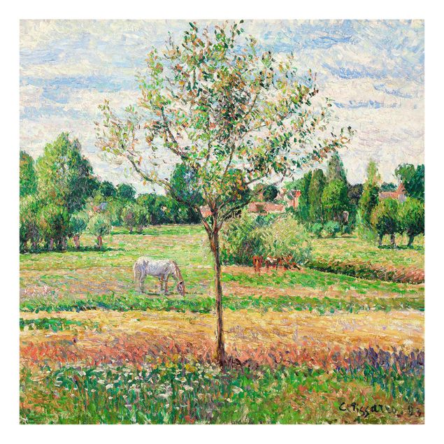 Kunst stilarter romantikken Camille Pissarro - Meadow with Grey Horse, Eragny