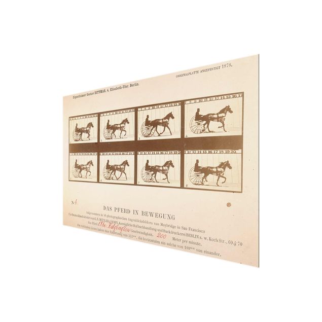 Billeder moderne Eadweard Muybridge - The horse in Motion