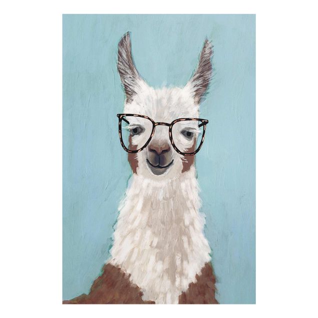 Billeder dyr Lama With Glasses II