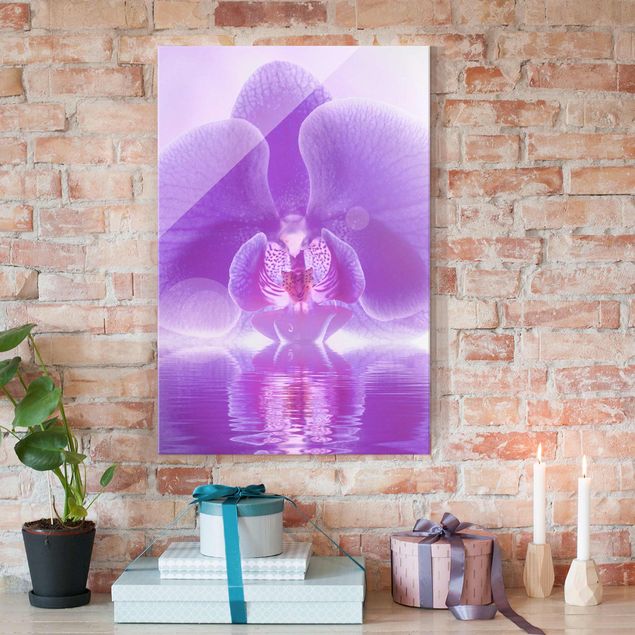 Billeder orkideer Purple Orchid On Water
