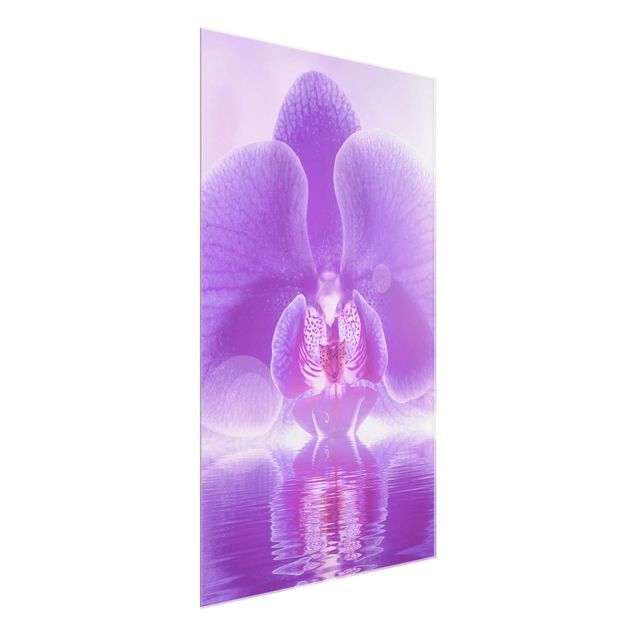 Glasbilleder blomster Purple Orchid On Water