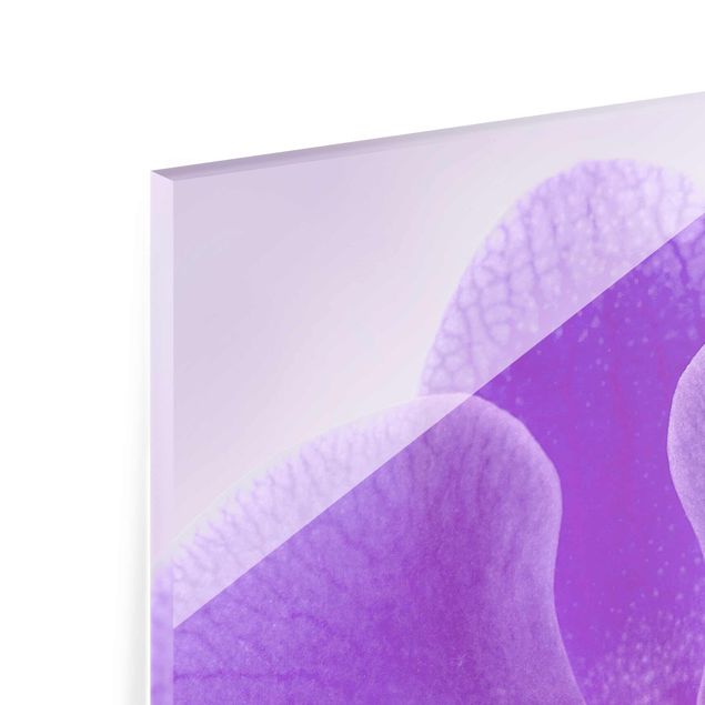 Glas magnettavla Purple Orchid On Water