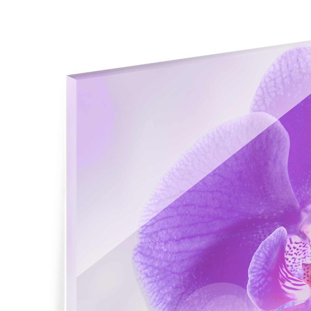 Glas magnettavla Purple Orchid On Water
