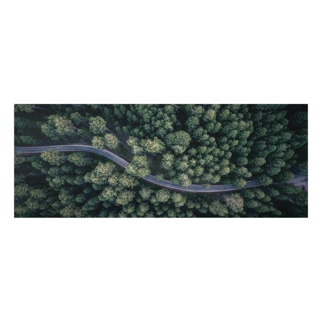 Billeder natur Aerial View - Forest Road From The Top