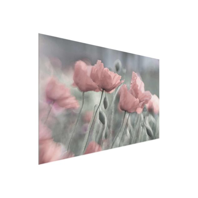 Glasbilleder blomster Picturesque Poppy