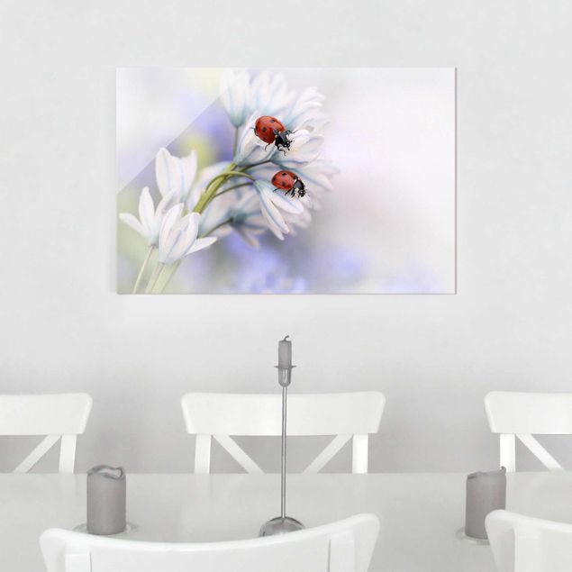 Glasbilleder blomster Ladybird Couple