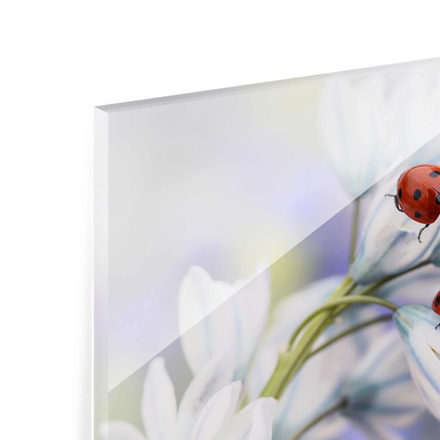 Glas magnettavla Ladybird Couple
