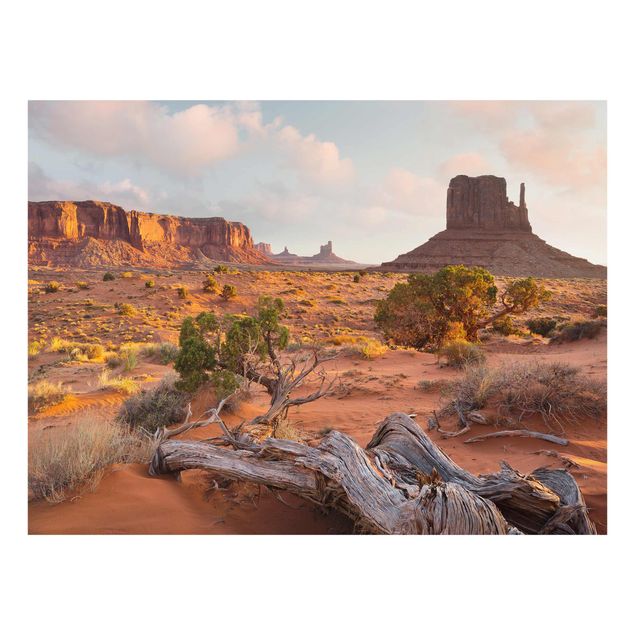 Billeder landskaber Monument Valley Navajo Tribal Park Arizona