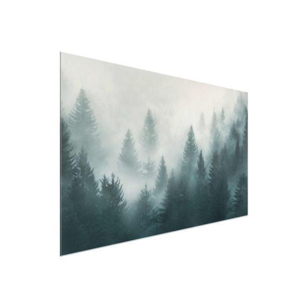Billeder landskaber Coniferous Forest In Fog