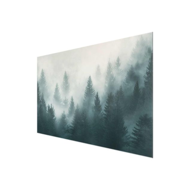 Billeder moderne Coniferous Forest In Fog