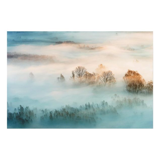 Billeder landskaber Fog At Sunrise