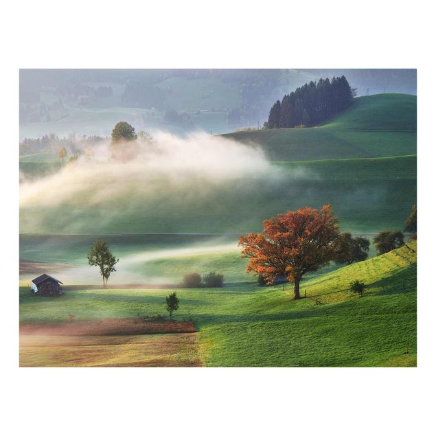 Billeder træer Misty Autumn Day Switzerland