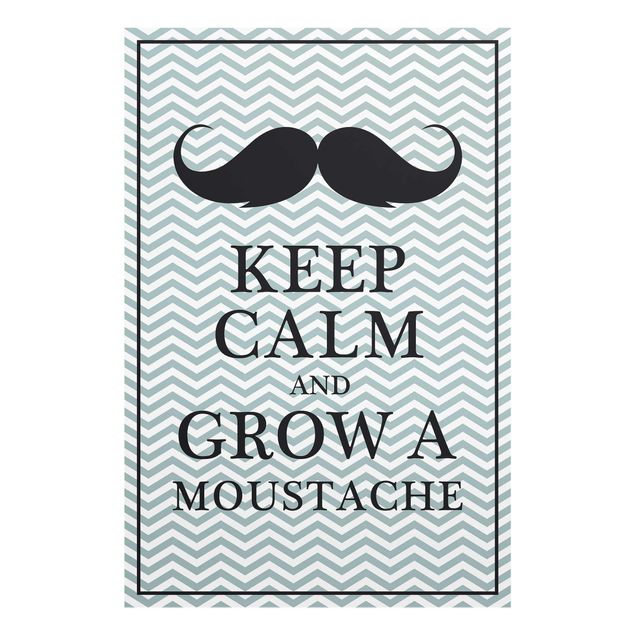 Billeder Keep Calm and Grow a Moustache