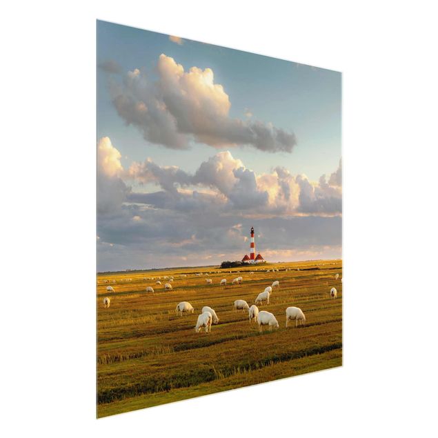 Glasbilleder dyr North Sea Lighthouse With Flock Of Sheep