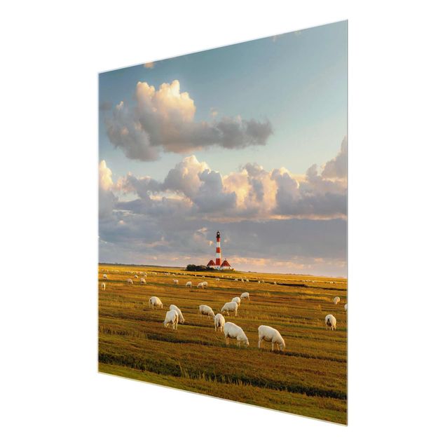 Billeder moderne North Sea Lighthouse With Flock Of Sheep