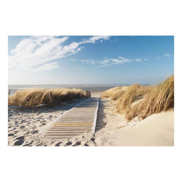 Billeder strande Baltic Sea Beach