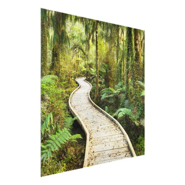 Billeder landskaber Path In The Jungle