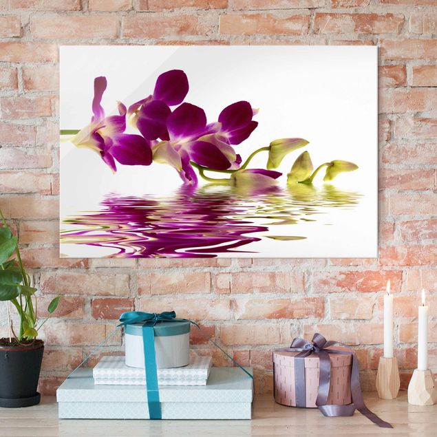 Glasbilleder orkideer Pink Orchid Waters