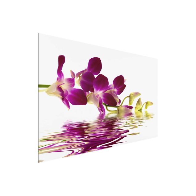 Glasbilleder blomster Pink Orchid Waters