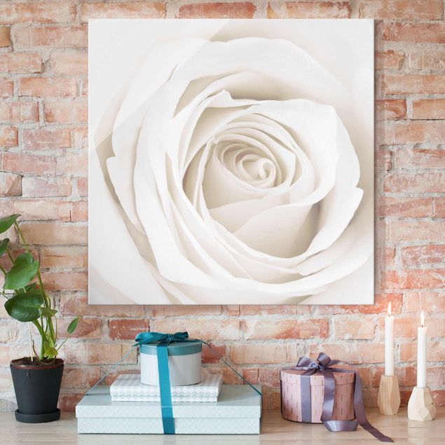 Glasbilleder roser Pretty White Rose