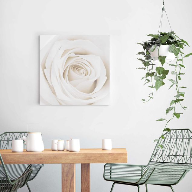 Glasbilleder blomster Pretty White Rose