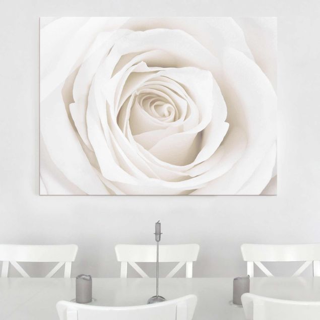 Glasbilleder blomster Pretty White Rose