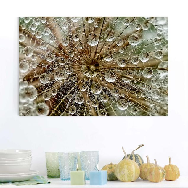 Glasbilleder mælkebøtter Dandelion In Autumn