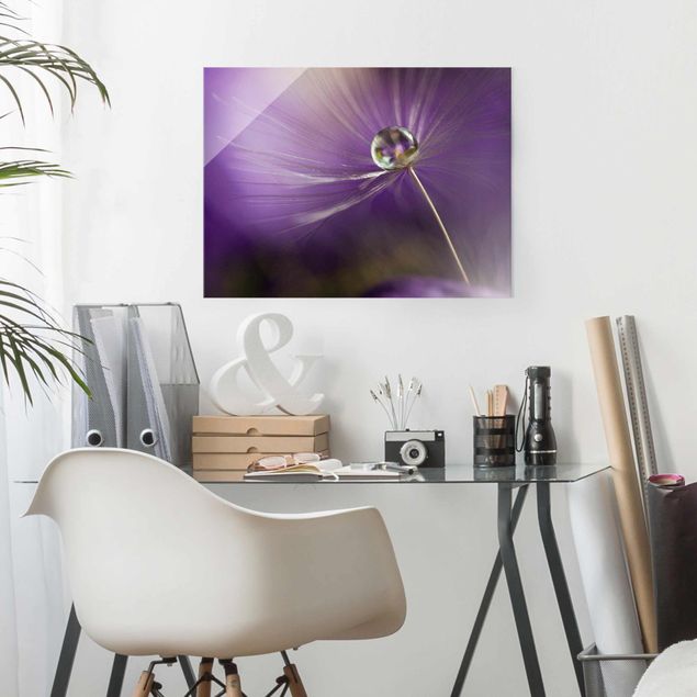 Glasbilleder blomster Dandelion In Violet