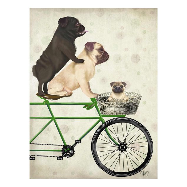 Billeder grøn Cycling - Pugs On Bike