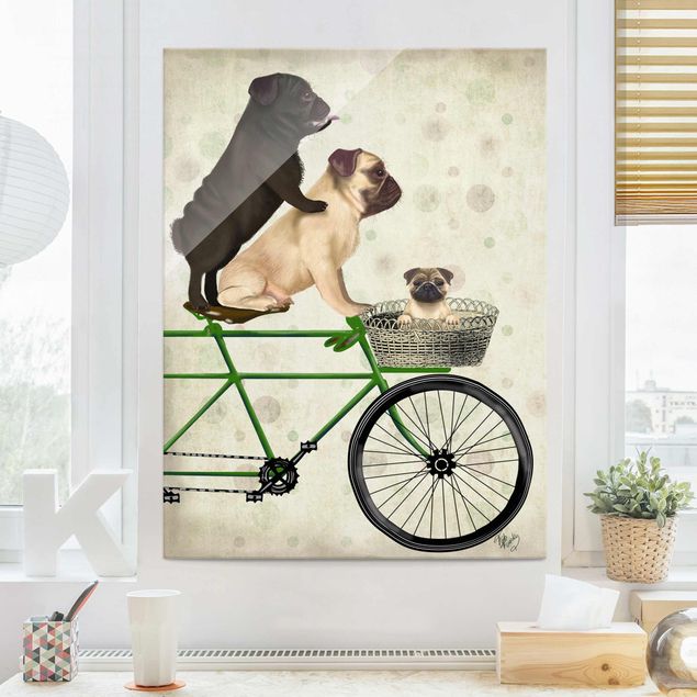 køkken dekorationer Cycling - Pugs On Bike