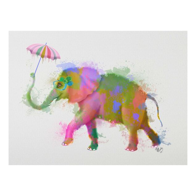 Billeder dyr Rainbow Splash Elephant