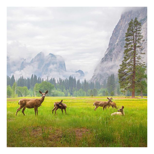 Billeder landskaber Deer In The Mountains