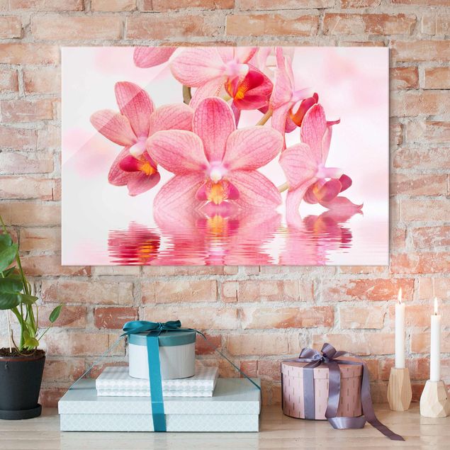 Glasbilleder orkideer Light Pink Orchid On Water
