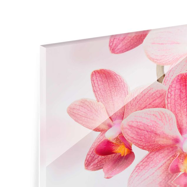 Glas magnettavla Light Pink Orchid On Water
