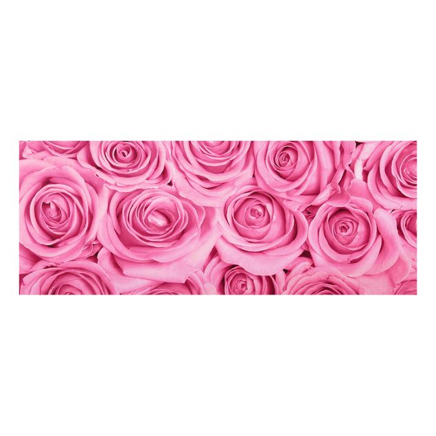 Billeder blomster Pink Roses