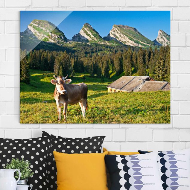 Billeder Schweiz Swiss Alpine Meadow With Cow