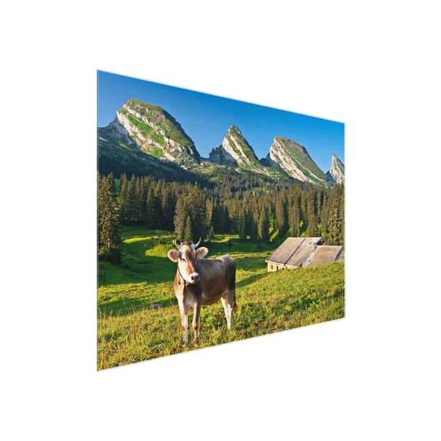 Glasbilleder landskaber Swiss Alpine Meadow With Cow