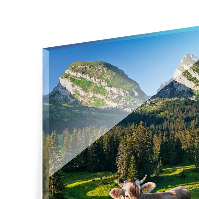 Glasbilleder dyr Swiss Alpine Meadow With Cow