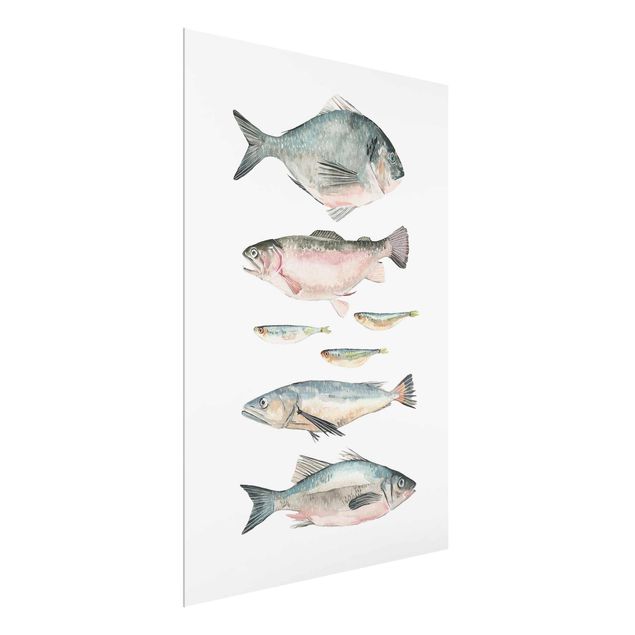 Billeder moderne Seven Fish In Watercolour II