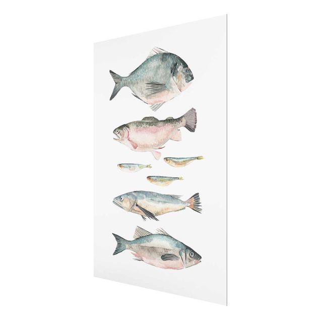 Billeder Seven Fish In Watercolour II