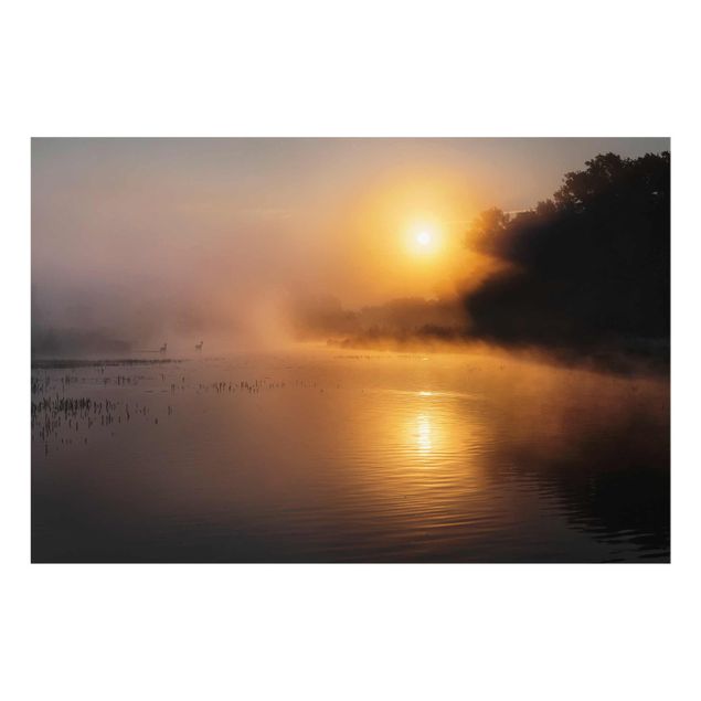 Billeder moderne Sunrise on the lake with deers in the fog