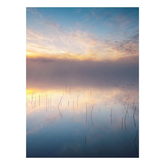 Billeder natur Sunrise Swedish Lake