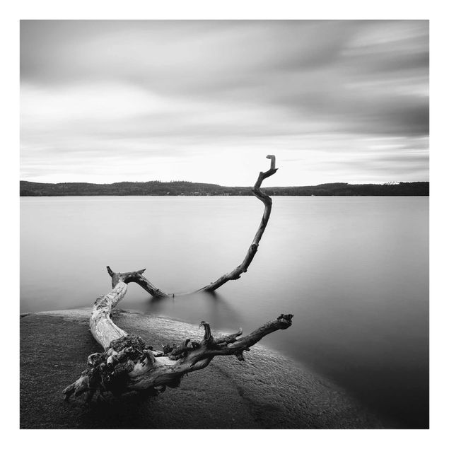 Glasbilleder sort og hvid Sunset In Black And White By The Lake