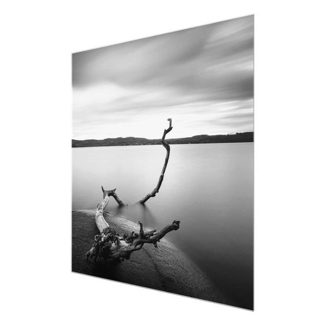 Billeder natur Sunset In Black And White By The Lake