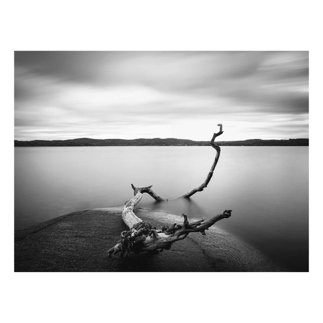 Glasbilleder sort og hvid Sunset In Black And White By The Lake