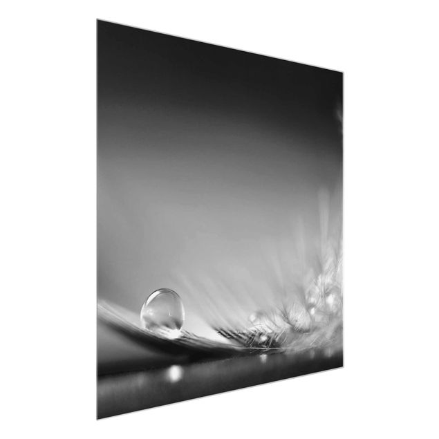 Billeder moderne Story of a Waterdrop Black White